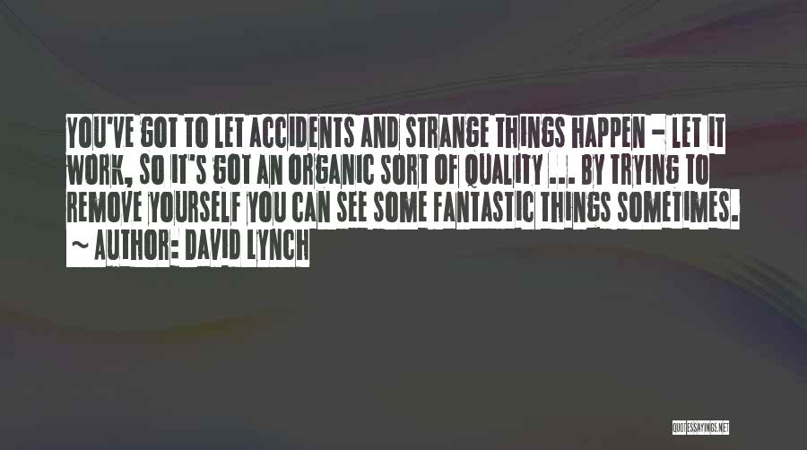 David Lynch Quotes: You've Got To Let Accidents And Strange Things Happen - Let It Work, So It's Got An Organic Sort Of