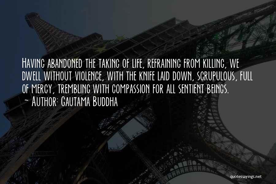 Gautama Buddha Quotes: Having Abandoned The Taking Of Life, Refraining From Killing, We Dwell Without Violence, With The Knife Laid Down, Scrupulous, Full