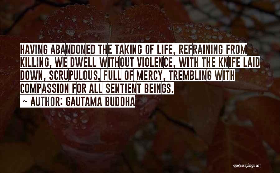 Gautama Buddha Quotes: Having Abandoned The Taking Of Life, Refraining From Killing, We Dwell Without Violence, With The Knife Laid Down, Scrupulous, Full