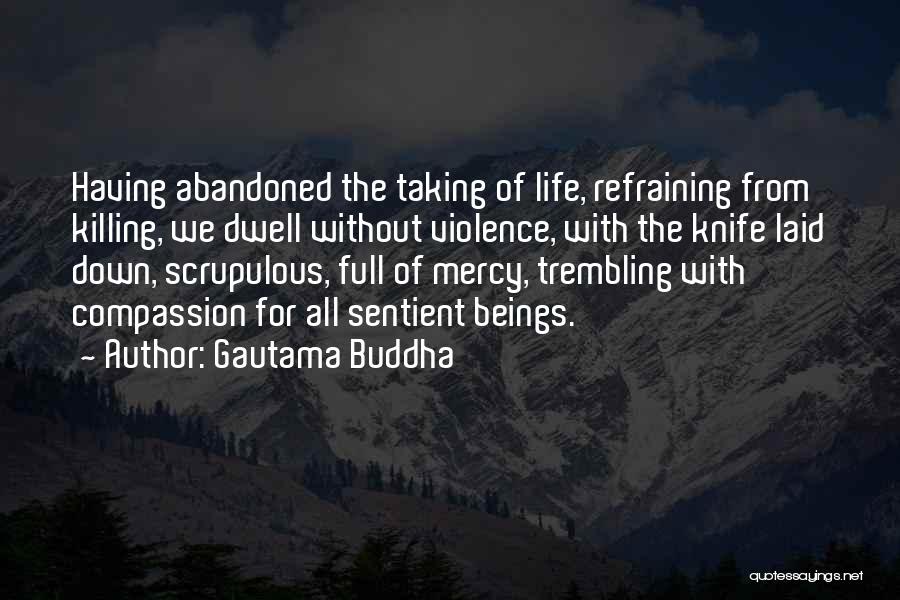 Gautama Buddha Quotes: Having Abandoned The Taking Of Life, Refraining From Killing, We Dwell Without Violence, With The Knife Laid Down, Scrupulous, Full