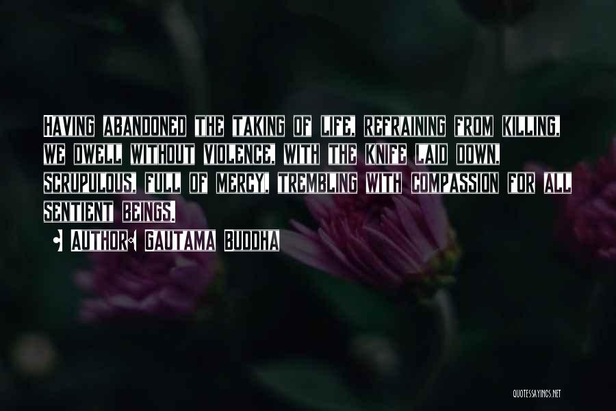 Gautama Buddha Quotes: Having Abandoned The Taking Of Life, Refraining From Killing, We Dwell Without Violence, With The Knife Laid Down, Scrupulous, Full