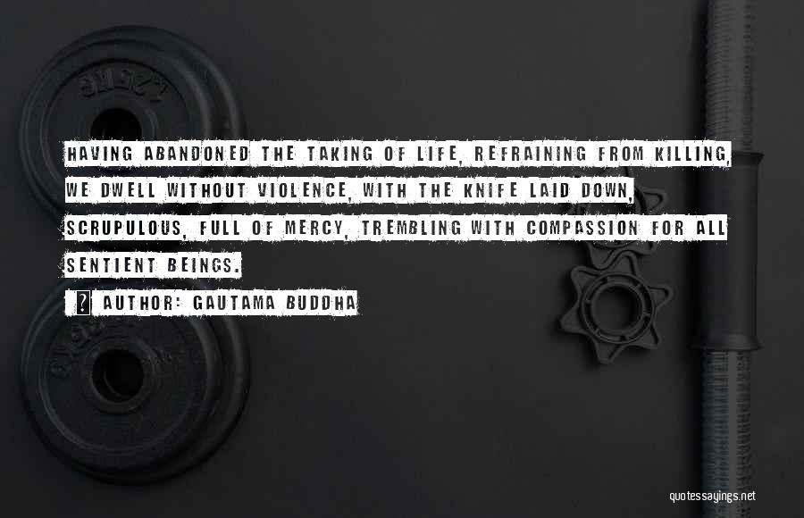 Gautama Buddha Quotes: Having Abandoned The Taking Of Life, Refraining From Killing, We Dwell Without Violence, With The Knife Laid Down, Scrupulous, Full