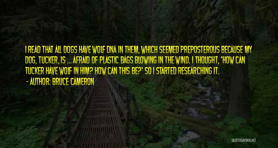 Bruce Cameron Quotes: I Read That All Dogs Have Wolf Dna In Them, Which Seemed Preposterous Because My Dog, Tucker, Is ... Afraid