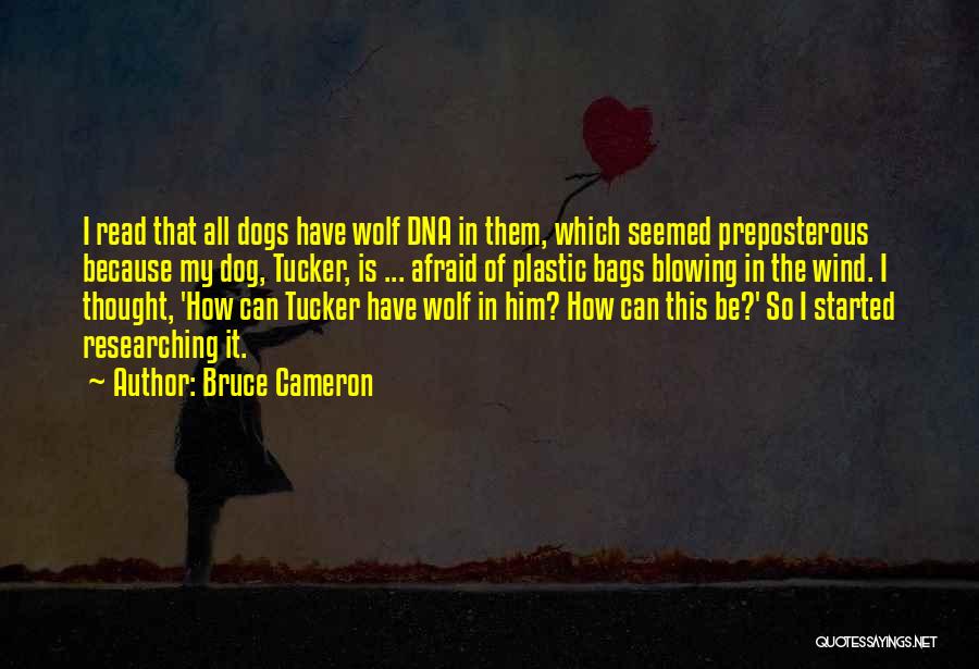 Bruce Cameron Quotes: I Read That All Dogs Have Wolf Dna In Them, Which Seemed Preposterous Because My Dog, Tucker, Is ... Afraid