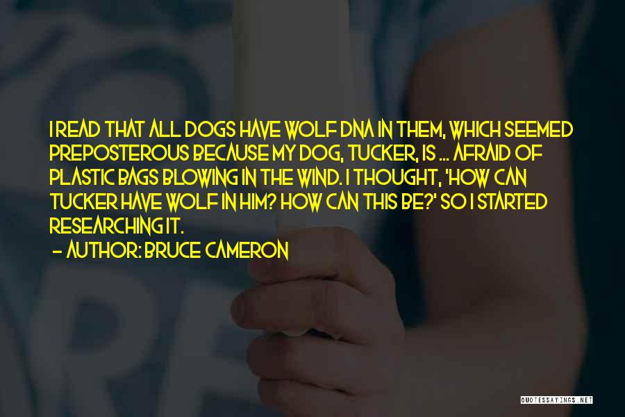 Bruce Cameron Quotes: I Read That All Dogs Have Wolf Dna In Them, Which Seemed Preposterous Because My Dog, Tucker, Is ... Afraid