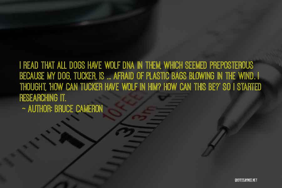 Bruce Cameron Quotes: I Read That All Dogs Have Wolf Dna In Them, Which Seemed Preposterous Because My Dog, Tucker, Is ... Afraid