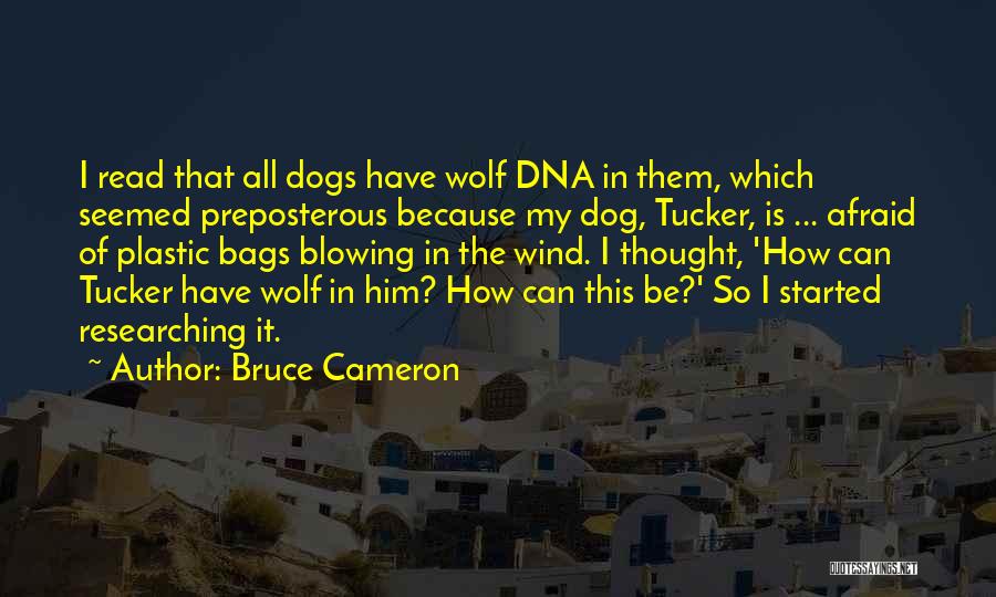 Bruce Cameron Quotes: I Read That All Dogs Have Wolf Dna In Them, Which Seemed Preposterous Because My Dog, Tucker, Is ... Afraid