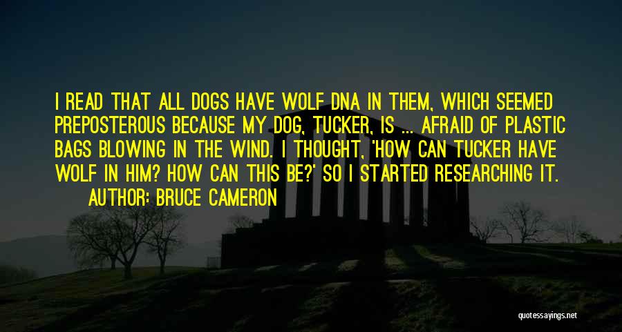 Bruce Cameron Quotes: I Read That All Dogs Have Wolf Dna In Them, Which Seemed Preposterous Because My Dog, Tucker, Is ... Afraid