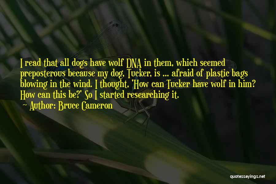Bruce Cameron Quotes: I Read That All Dogs Have Wolf Dna In Them, Which Seemed Preposterous Because My Dog, Tucker, Is ... Afraid