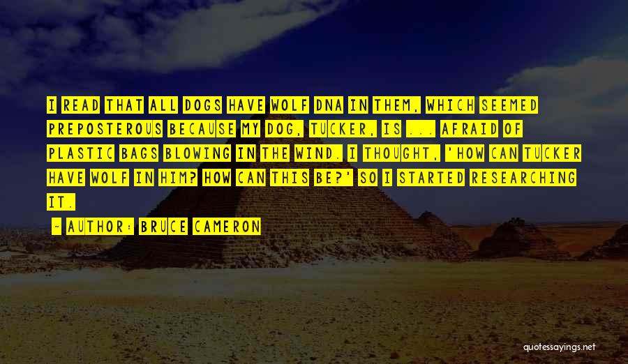 Bruce Cameron Quotes: I Read That All Dogs Have Wolf Dna In Them, Which Seemed Preposterous Because My Dog, Tucker, Is ... Afraid