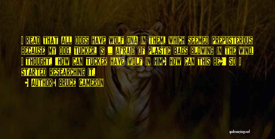 Bruce Cameron Quotes: I Read That All Dogs Have Wolf Dna In Them, Which Seemed Preposterous Because My Dog, Tucker, Is ... Afraid