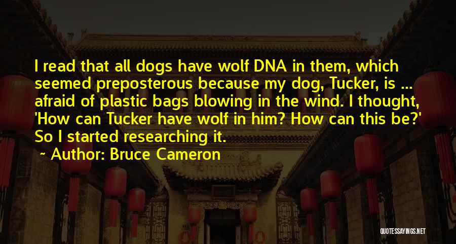 Bruce Cameron Quotes: I Read That All Dogs Have Wolf Dna In Them, Which Seemed Preposterous Because My Dog, Tucker, Is ... Afraid