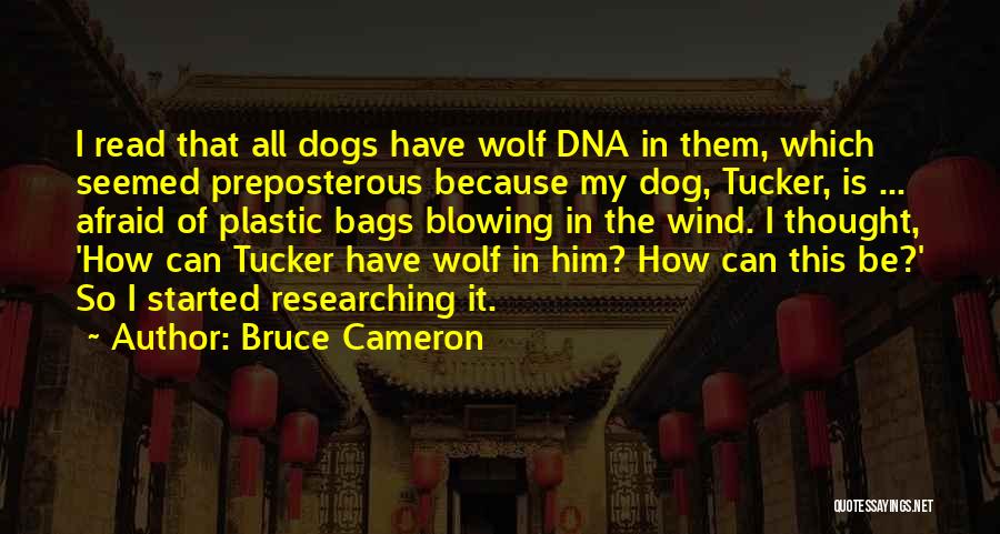 Bruce Cameron Quotes: I Read That All Dogs Have Wolf Dna In Them, Which Seemed Preposterous Because My Dog, Tucker, Is ... Afraid