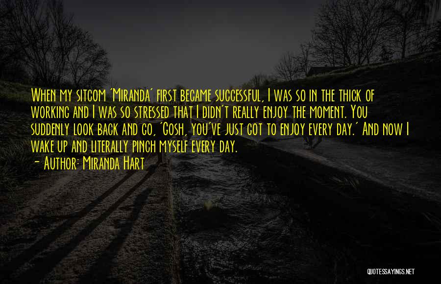 Miranda Hart Quotes: When My Sitcom 'miranda' First Became Successful, I Was So In The Thick Of Working And I Was So Stressed