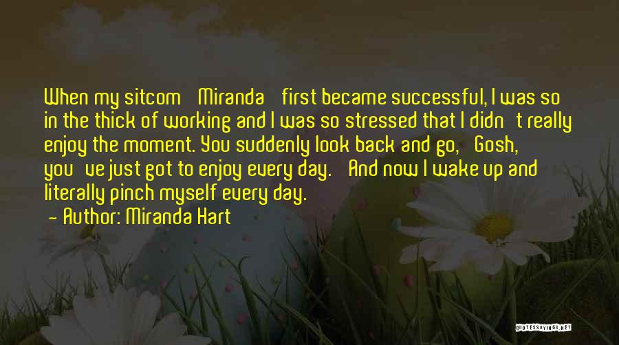 Miranda Hart Quotes: When My Sitcom 'miranda' First Became Successful, I Was So In The Thick Of Working And I Was So Stressed