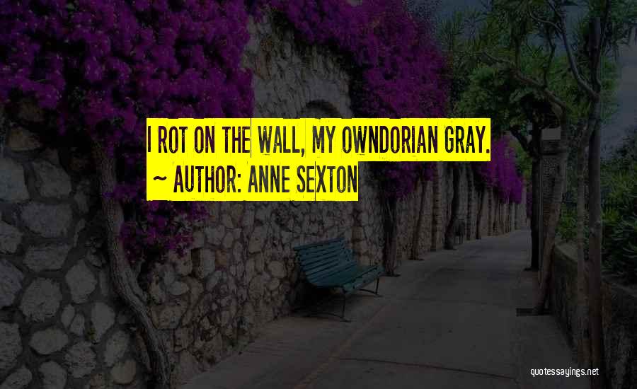Anne Sexton Quotes: I Rot On The Wall, My Owndorian Gray.