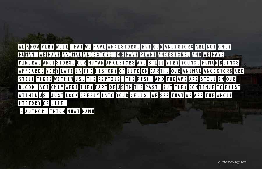 Thich Nhat Hanh Quotes: We Know Very Well That We Have Ancestors. But Our Ancestors Are Not Only Human. We Have Animal Ancestors; We