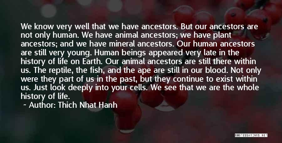 Thich Nhat Hanh Quotes: We Know Very Well That We Have Ancestors. But Our Ancestors Are Not Only Human. We Have Animal Ancestors; We