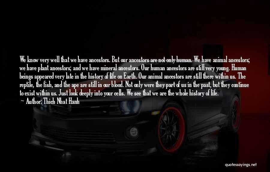 Thich Nhat Hanh Quotes: We Know Very Well That We Have Ancestors. But Our Ancestors Are Not Only Human. We Have Animal Ancestors; We