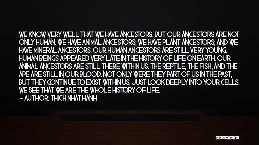 Thich Nhat Hanh Quotes: We Know Very Well That We Have Ancestors. But Our Ancestors Are Not Only Human. We Have Animal Ancestors; We