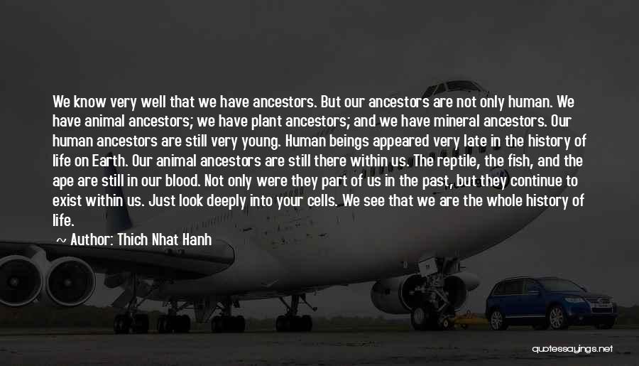 Thich Nhat Hanh Quotes: We Know Very Well That We Have Ancestors. But Our Ancestors Are Not Only Human. We Have Animal Ancestors; We