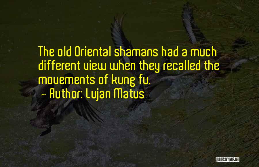 Lujan Matus Quotes: The Old Oriental Shamans Had A Much Different View When They Recalled The Movements Of Kung Fu.