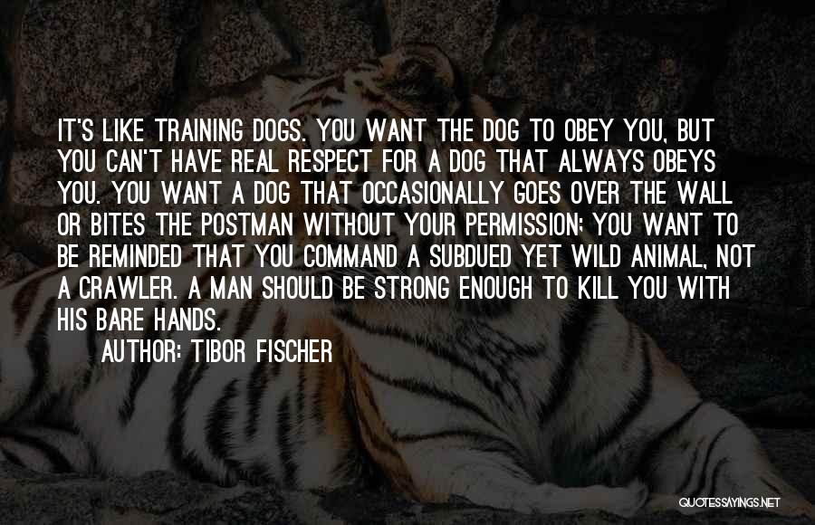 Tibor Fischer Quotes: It's Like Training Dogs. You Want The Dog To Obey You, But You Can't Have Real Respect For A Dog