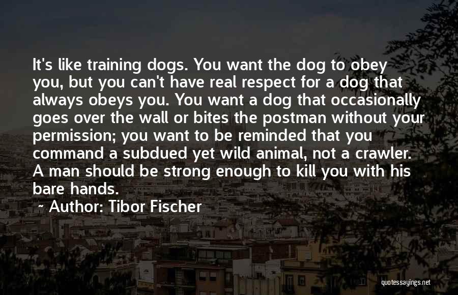 Tibor Fischer Quotes: It's Like Training Dogs. You Want The Dog To Obey You, But You Can't Have Real Respect For A Dog