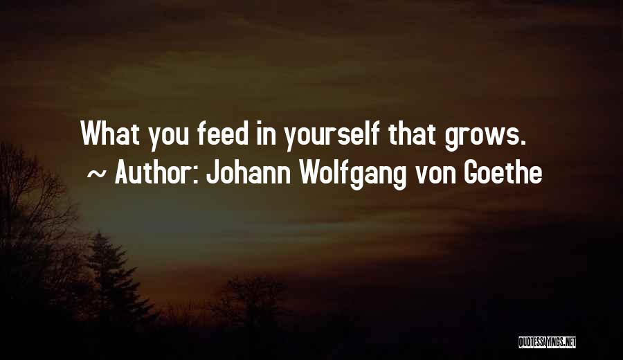 Johann Wolfgang Von Goethe Quotes: What You Feed In Yourself That Grows.