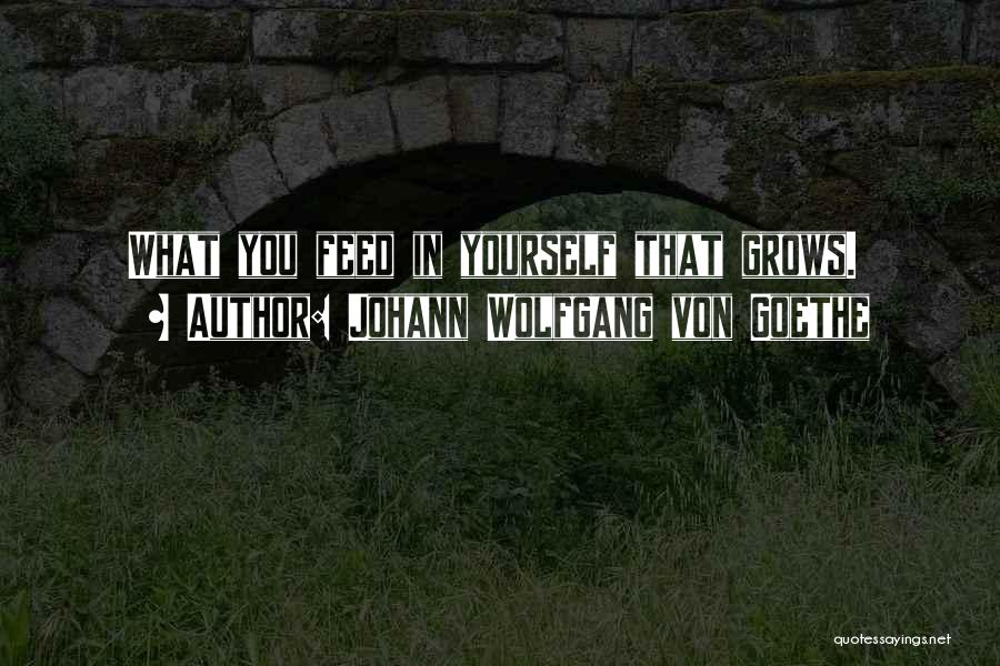 Johann Wolfgang Von Goethe Quotes: What You Feed In Yourself That Grows.