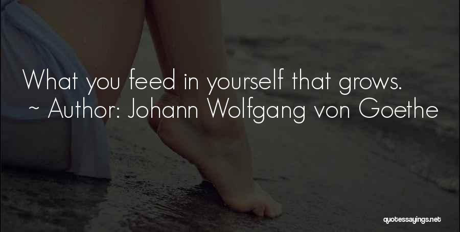 Johann Wolfgang Von Goethe Quotes: What You Feed In Yourself That Grows.