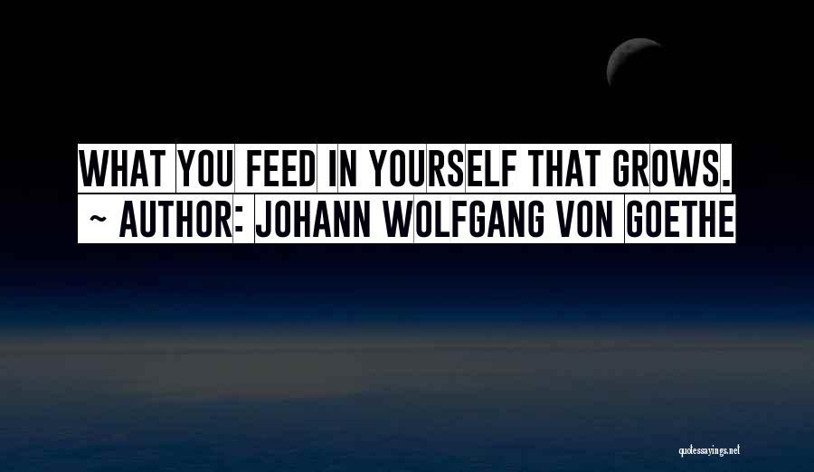 Johann Wolfgang Von Goethe Quotes: What You Feed In Yourself That Grows.