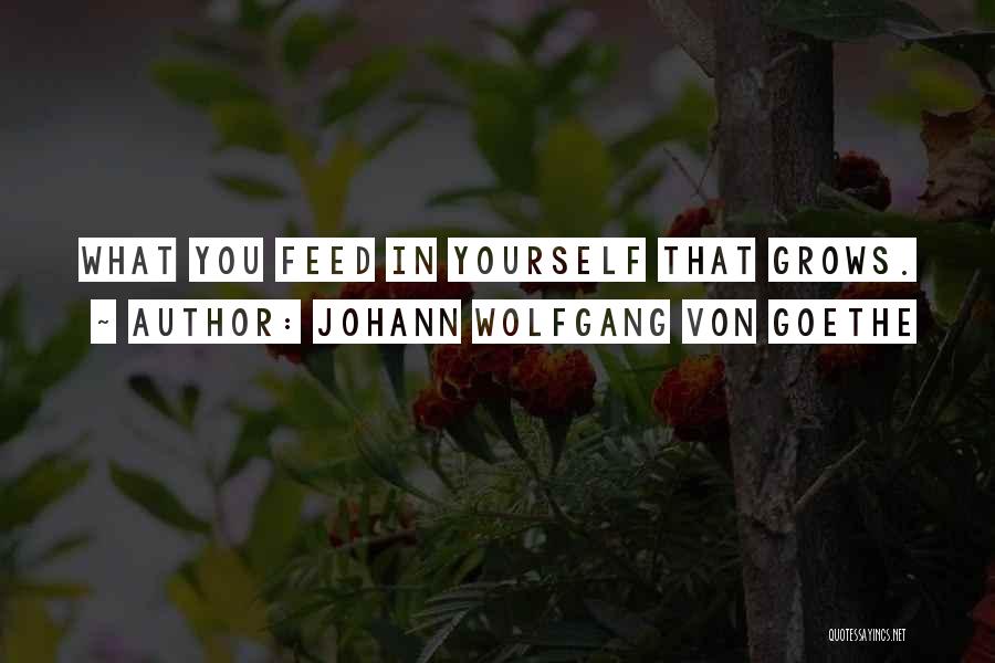 Johann Wolfgang Von Goethe Quotes: What You Feed In Yourself That Grows.