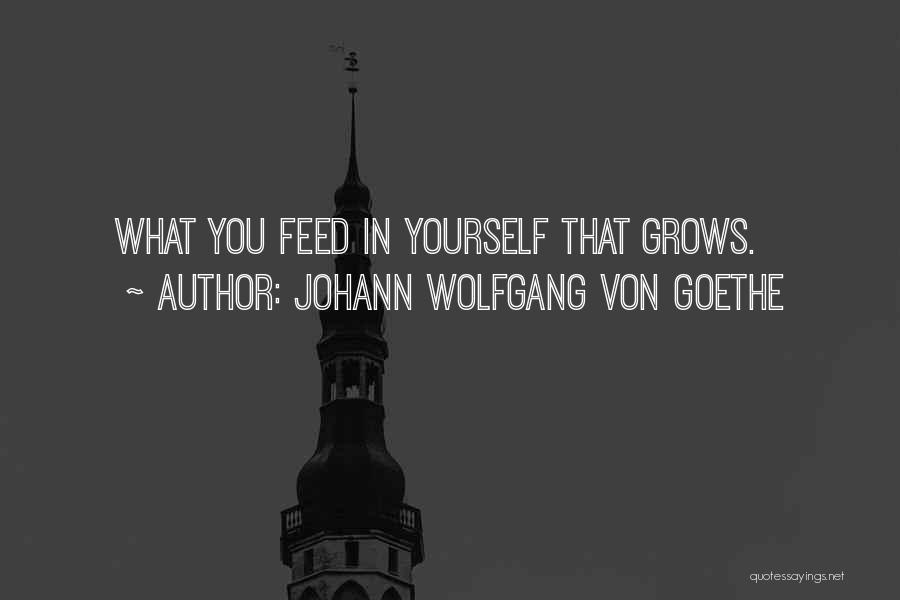 Johann Wolfgang Von Goethe Quotes: What You Feed In Yourself That Grows.