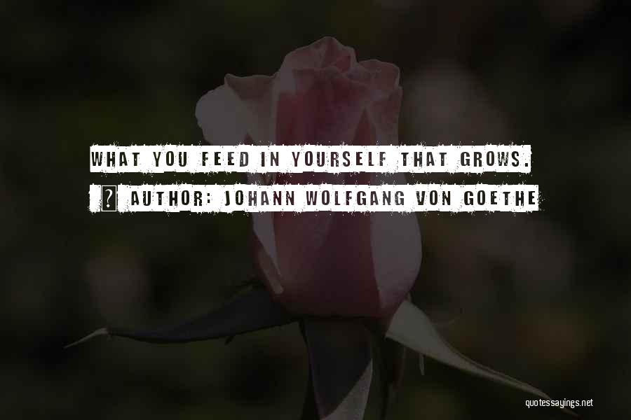 Johann Wolfgang Von Goethe Quotes: What You Feed In Yourself That Grows.