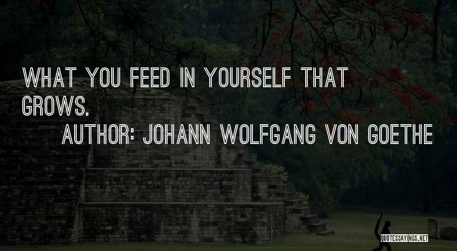 Johann Wolfgang Von Goethe Quotes: What You Feed In Yourself That Grows.