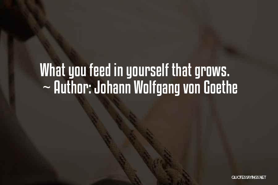 Johann Wolfgang Von Goethe Quotes: What You Feed In Yourself That Grows.