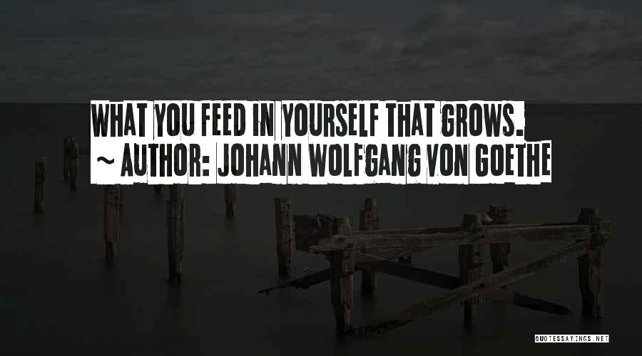 Johann Wolfgang Von Goethe Quotes: What You Feed In Yourself That Grows.