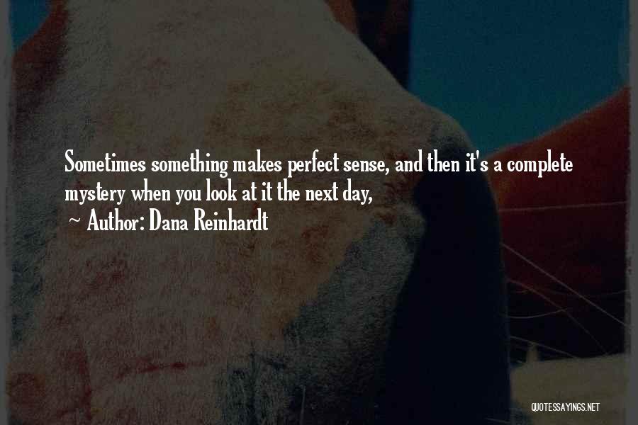 Dana Reinhardt Quotes: Sometimes Something Makes Perfect Sense, And Then It's A Complete Mystery When You Look At It The Next Day,