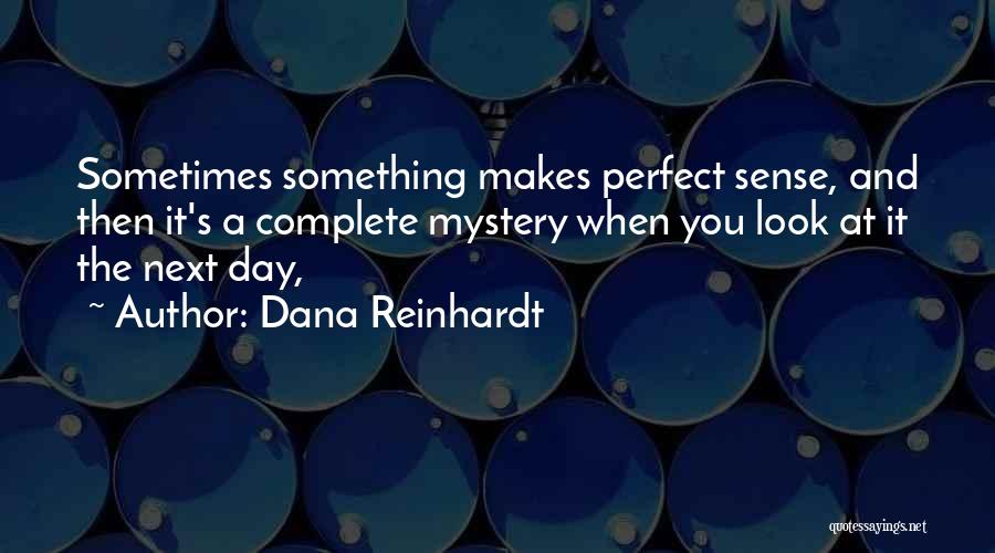 Dana Reinhardt Quotes: Sometimes Something Makes Perfect Sense, And Then It's A Complete Mystery When You Look At It The Next Day,