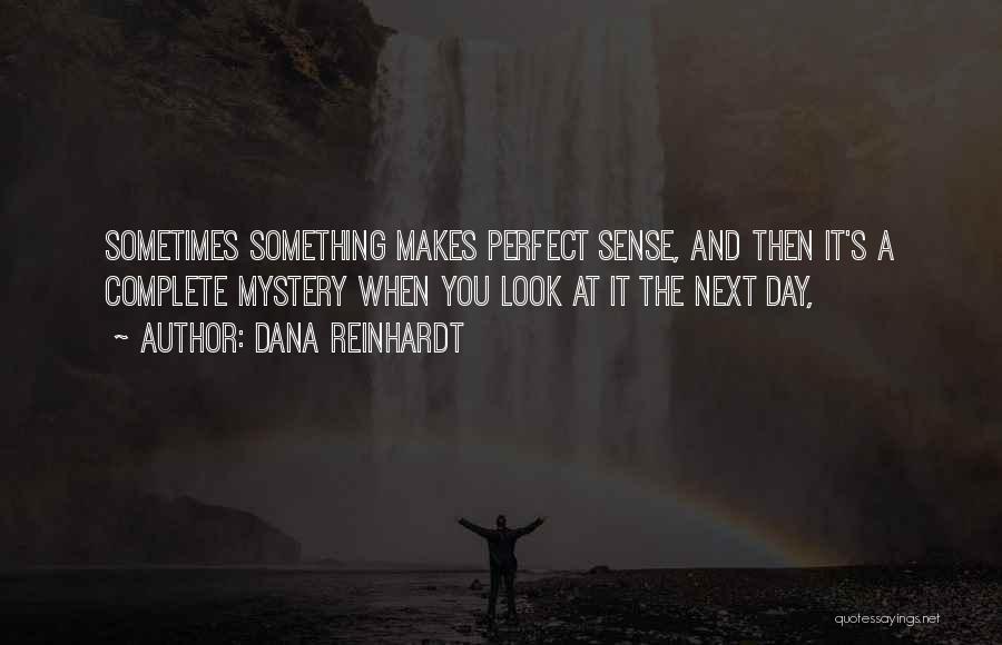 Dana Reinhardt Quotes: Sometimes Something Makes Perfect Sense, And Then It's A Complete Mystery When You Look At It The Next Day,