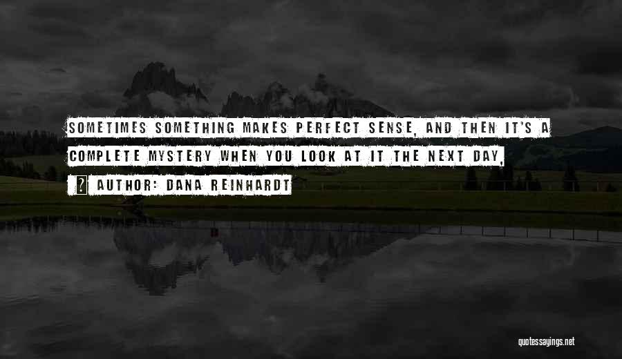 Dana Reinhardt Quotes: Sometimes Something Makes Perfect Sense, And Then It's A Complete Mystery When You Look At It The Next Day,