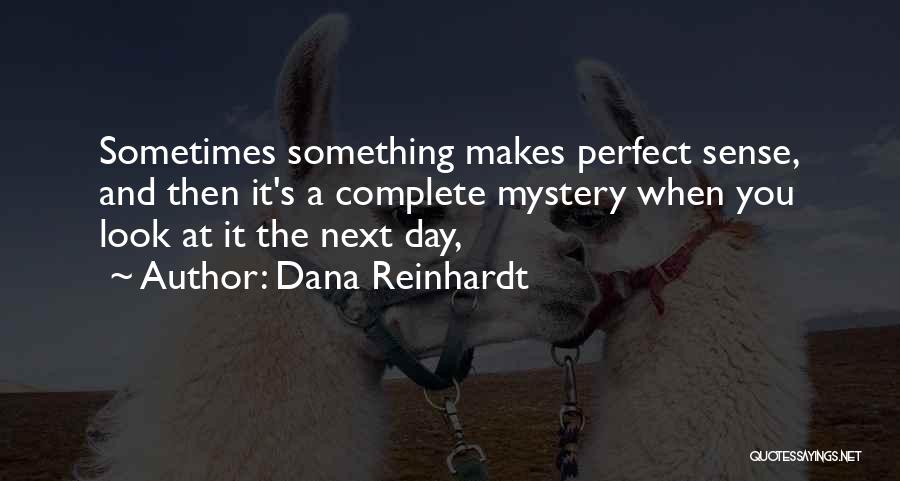 Dana Reinhardt Quotes: Sometimes Something Makes Perfect Sense, And Then It's A Complete Mystery When You Look At It The Next Day,