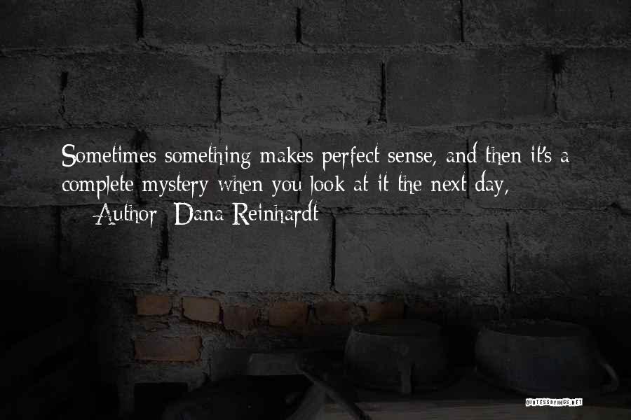 Dana Reinhardt Quotes: Sometimes Something Makes Perfect Sense, And Then It's A Complete Mystery When You Look At It The Next Day,