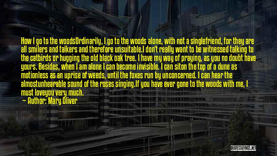 Mary Oliver Quotes: How I Go To The Woodsordinarily, I Go To The Woods Alone, With Not A Singlefriend, For They Are All