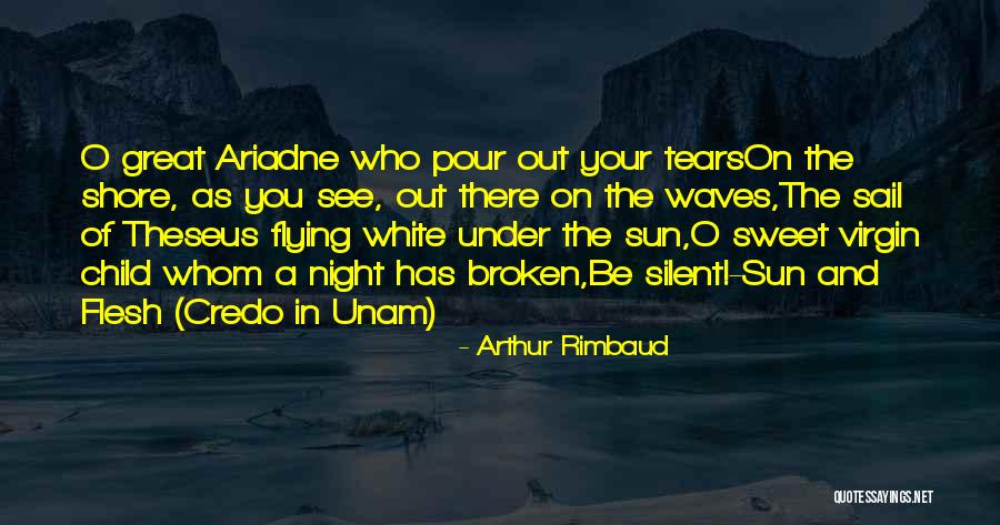 14093638 Quotes By Arthur Rimbaud 14093638 Quotes By Arthur Rimbaud