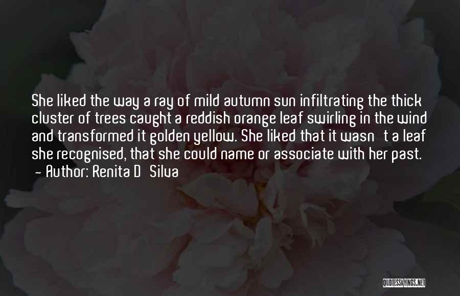 Renita D'Silva Quotes: She Liked The Way A Ray Of Mild Autumn Sun Infiltrating The Thick Cluster Of Trees Caught A Reddish Orange