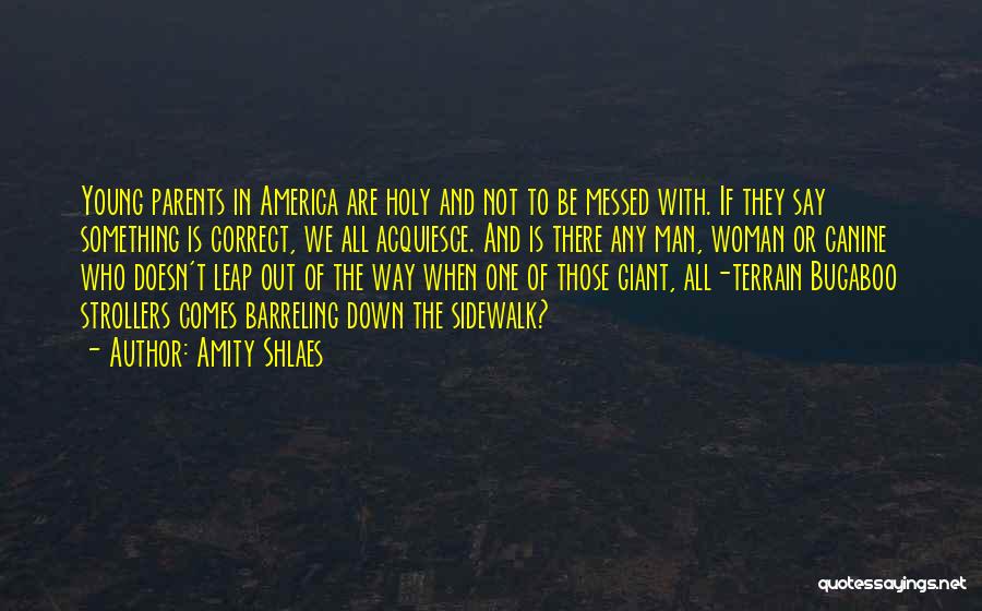 Amity Shlaes Quotes: Young Parents In America Are Holy And Not To Be Messed With. If They Say Something Is Correct, We All