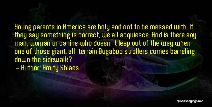 Amity Shlaes Quotes: Young Parents In America Are Holy And Not To Be Messed With. If They Say Something Is Correct, We All