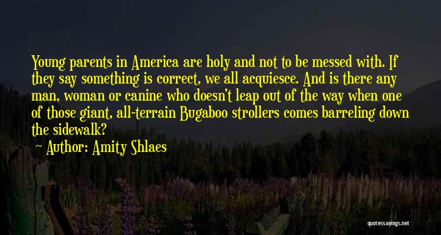 Amity Shlaes Quotes: Young Parents In America Are Holy And Not To Be Messed With. If They Say Something Is Correct, We All
